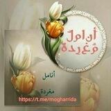 أنــــاملُ مُـغــــــرّدة