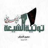 توثية الشيعة