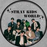 STRAY KIDS WORLD