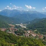 🌄 Жители Красной Поляны