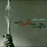 توکل بر الله