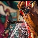 محمود البراك القناة الجديدة