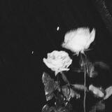 𝚝𝚎𝚜𝚝𝚒𝚖𝚘𝚗𝚒 @userzyu