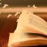 Ochopat_Book