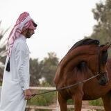 تقاسِيم 𖠴.