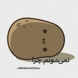 نمی‌دونم چرا...!