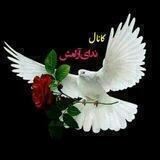 ندای آرامش