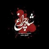 ضدونقیض