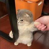 ‎ ㅤㅤㅤㅤㅤㅤㅤㅤㅤㅤ