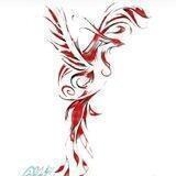 Phoenix Startup