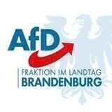 AfD-Fraktion BB