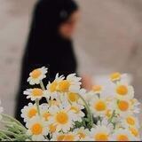 🌼تَرآتيل العِشقَ المهدوي 🌼