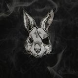 Rabbit Hole