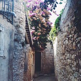 ✨ربيع الانام✨
