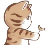 ♠️深圳会所/私影/抓龙筋/商K👠