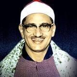 الشيخ محمد صديق المنشاوي
