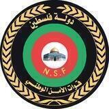 قوات الأمن الوطني الفلسطيني