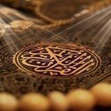 Quran |🌱بالقرآن نهتدي
