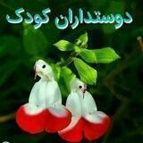 دوستداران کودک 😍( مربیان _ آموزگاران،مدیران مراکز غیرانتفاعی)