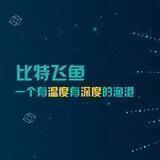 飞鱼的星海