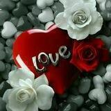 هَـمْـسَــاتُ فَـتَــاةٍ🌸