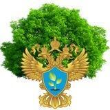 ☣️Экологическая безопасность Невского края