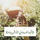 ❴شُهداءْ يرووّنَ الأرضَ دِماء❵🕊️♥️