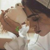 Цитаточки 💫🕊