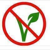 Case Against Veganism