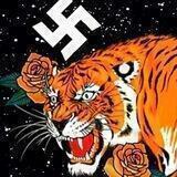 Zyklon ⃟beast ™ reloaded