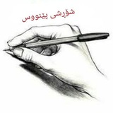 کەناڵی فێرگەی کوردستان