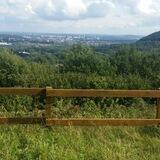 Love Peace Harmony Saarland