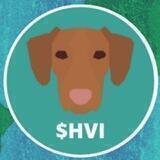 Hungarian Vizsla Inu (HVI)中国集团 🇨🇳
