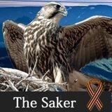 The Saker