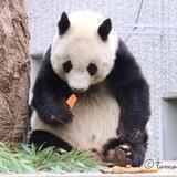 秘密花园😎佛学汇