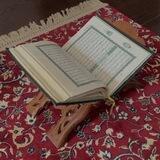 - ‏اِستَبشِر .