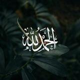﴿ إِنَّا مُنَجُّوكَ ﴾