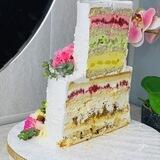 Shaanooz_cake