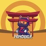 NINDOGE PORTAL