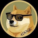 Dojo 4 Doge