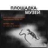 Площадка: Музей