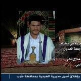 الشاعر رمزي النقيب ابو الحسنين