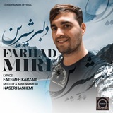 فرهاد میری