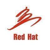 红帽国际 RedHat Forum
