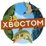 За Хвостом