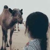 ماربيهہ‌‏✿"