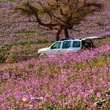 abd_1118