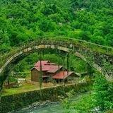 املاک شمال سبز