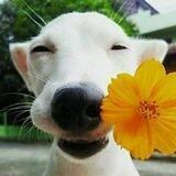 Отдушина❤️😘🤗🌸☀️