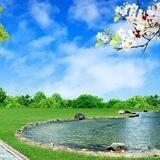 فتاوى كبــار العلمــاء 🌹🌹🌹